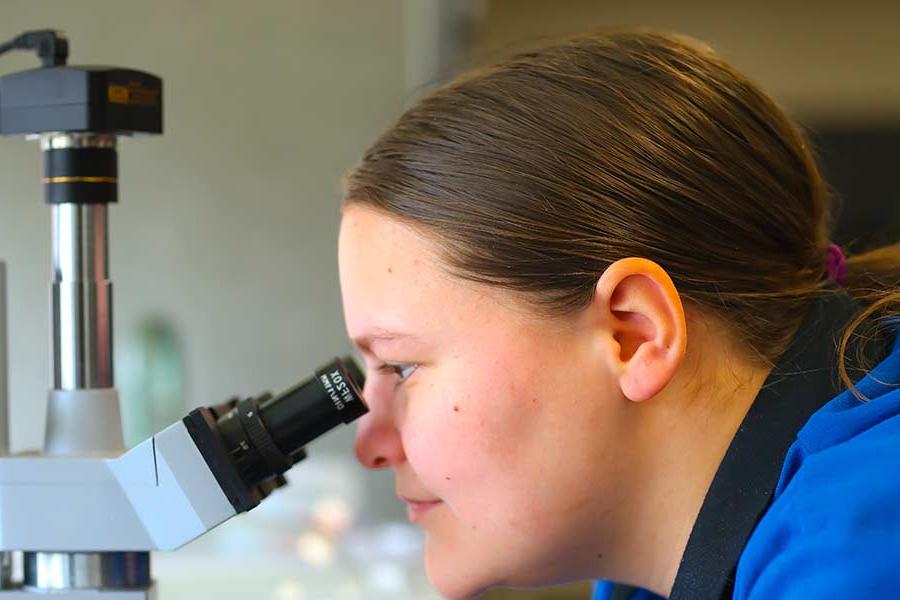 Science Student At Microscope